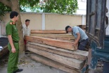 Phát hiện gỗ lậu 'núp bóng' xe tải chở phế liệu