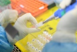 Công ty Mỹ tuyên bố chế tạo thành công vắcxin chống virus corona