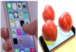 Thủ thuật 'biến' điện thoại iPhone thành chiếc cân đồ vật tiện lợi