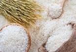Giá nông sản hôm nay 5/3: Giá cà phê bất ngờ giảm mạnh
