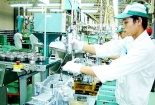 Ngành công thương Hà Nội triển khai các giải pháp ứng phó tác động của dịch Covid-19 