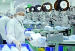Đảm bảo tiêu chuẩn xuất khẩu khẩu trang không dùng trong y tế