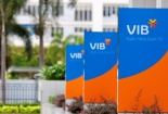 Doanh nghiệp bị ảnh hưởng bởi Covid- 19: VIB giảm lãi tới 2,5 nghìn tỷ đồng