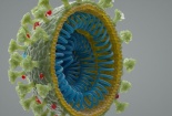 Virus corona không bắt nguồn từ phòng thí nghiệm 