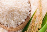 Vụ dừng xuất khẩu gạo: Bộ Công Thương kiến nghị kiểm tra lại lượng tồn kho gạo