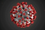 Virus corona đã có 8 biến thể lan truyền trên toàn cầu