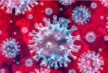 Tìm thấy 'vũ khí' đặc biệt giúp ngăn chặn sự xâm nhập của virus corona chủng mới 