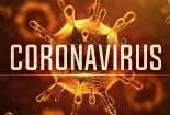 Virus corona nhân lên gấp 100 lần ở bộ phận nào trong cơ thể người?