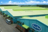 2 năm lỗ liên tiếp, gỗ Trường Thành vẫn lên kế hoạch lãi 70 tỷ đồng năm 2020