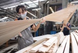 Ứng phó dịch Covid-19, ngành gỗ tăng cường liên kết chuỗi, cơ cấu lại sản phẩm xuất khẩu