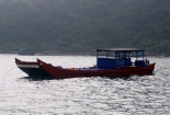 Phát hiện 11,5 tấn sứa biển xuất lậu sang Trung Quốc