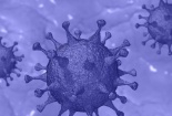 Nhiệt độ thích hợp để tiêu diệt virus corona hoàn toàn?