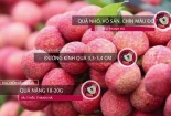 Tiếp tục mở rộng vùng sản xuất vải theo tiêu chuẩn quốc tế