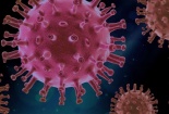 Vì sao đàn ông nhiễm virus corona chủng mới lâu khỏi hơn phụ nữ? 