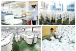Kinh nghiệm thành công trong áp dụng công cụ cải tiến năng suất 5S ở Công ty Thiên Nam