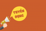Viện Năng suất Việt Nam thông báo tuyển dụng viên chức