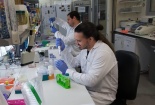 Viện sinh học Israel phát triển thành công kháng thể virus COVID-19 