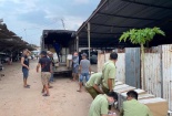 Xử lý 7 vụ, phạt tiền 47,2 triệu đồng vi phạm kinh doanh thiết bị y tế trong 1 ngày