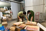 Bắt giữ hơn 6 tấn thực phẩm đông lạnh không rõ nguồn gốc