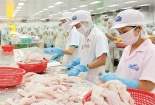 Tiếp tục vi phạm, cổ phiếu HVG của Hùng Vương bị tạm ngừng giao dịch