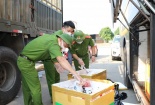 Chặn đứng xe khách vận chuyển nội tạng động vật đã bốc mùi hôi thối