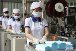Cắt giảm, đơn giản hóa quy định liên quan đến hoạt động kinh doanh 