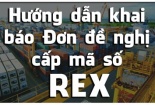 Doanh nghiệp xuất khẩu đi châu Âu cần khẩn trương đăng ký mã số REX