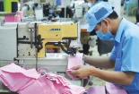 Hết năm 2020 sẽ có 60% TCVN hài hòa tiêu chuẩn quốc tế