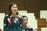 Lo ngại biến tướng, nhiều đại biểu quốc hội muốn cấm đòi nợ thuê hoạt động 