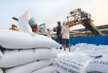 Việt Nam có cơ hội lớn vượt Thái Lan về xuất khẩu gạo ngay trong năm 2020 