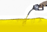 Dự thảo tiêu chuẩn trong phân tích thành phần dầu diesel sinh học