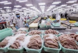 Kiên quyết xử lý các hành vi trục lợi, ép giá, gian lận thương mại