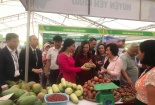 Tuần hàng tại Hà Nội: Tạo đầu ra ổn định cho trái cây, nông sản các địa phương