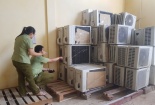 Quảng Bình: Bắt giữ lô hàng điện lạnh cũ nhập lậu trị giá 500 triệu đồng
