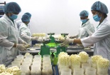 ISO 31000:2018 giúp sản phẩm của Long Hải chiếm lĩnh thị trường