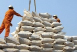 Việt Nam trúng thầu cung cấp 30 nghìn tấn gạo trắng cho Philippines