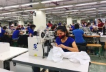 TNG: Đẩy mạnh năng suất chất lượng, giảm chi phí bằng cách áp dụng công nghệ