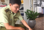 Phát hiện 4 cửa hàng kinh doanh hàng hóa vi phạm sở hữu trí tuệ