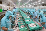 Nửa năm, cả nước có 1.681,5 nghìn tỷ đồng vốn đăng ký thành lập doanh nghiệp