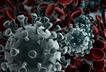 WHO thừa nhận virus Corona có khả năng lây truyền qua không khí