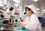 Doanh nghiệp cần đáp ứng tiêu chuẩn chất lượng để theo kịp xu hướng phát triển thị trường EU