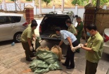 Lạng Sơn: Bắt giữ số lượng lớn gia cầm nhập lậu qua biên giới