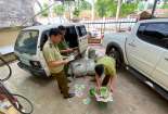 Thu gom lượng lớn hạt giống rau không rõ nguồn gốc từ biên giới về bán kiếm lời