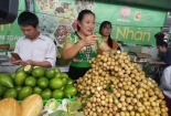 Đẩy mạnh chế biến, tiêu thụ sản phẩm nhãn Sơn La
