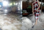 Hãi hùng đột nhập cơ sở sản xuất thạch dừa siêu bẩn