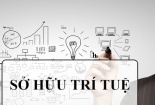 Vì sao phải sửa đổi Luật Sở hữu trí tuệ?