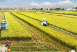 Tiêu chuẩn an toàn giúp cộng đồng nông nghiệp canh tác