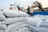 Kỳ vọng phục hồi xuất khẩu gạo Việt Nam những tháng cuối năm 2020