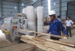 Gỡ vướng cho hoạt động xuất khẩu gỗ cao su dạng tấm 