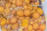 Hà Nội: Phát hiện kho chứa gần 2 tấn trứng non, tràng lợn, lườn vịt không đảm bảo VSATTP